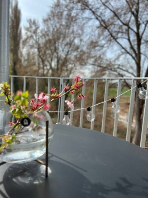 Stimmungsvoller Balkon mit Blumen, Lichterketten und Blick auf Natur, ideal für gemütliche Wohnmomente und stilvolles Wohnen im Freien.